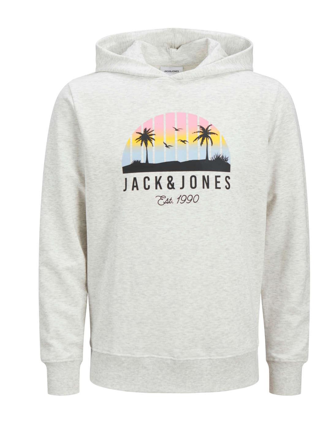 Sudadera Jack&Jones Palm gris con capucha para hombre