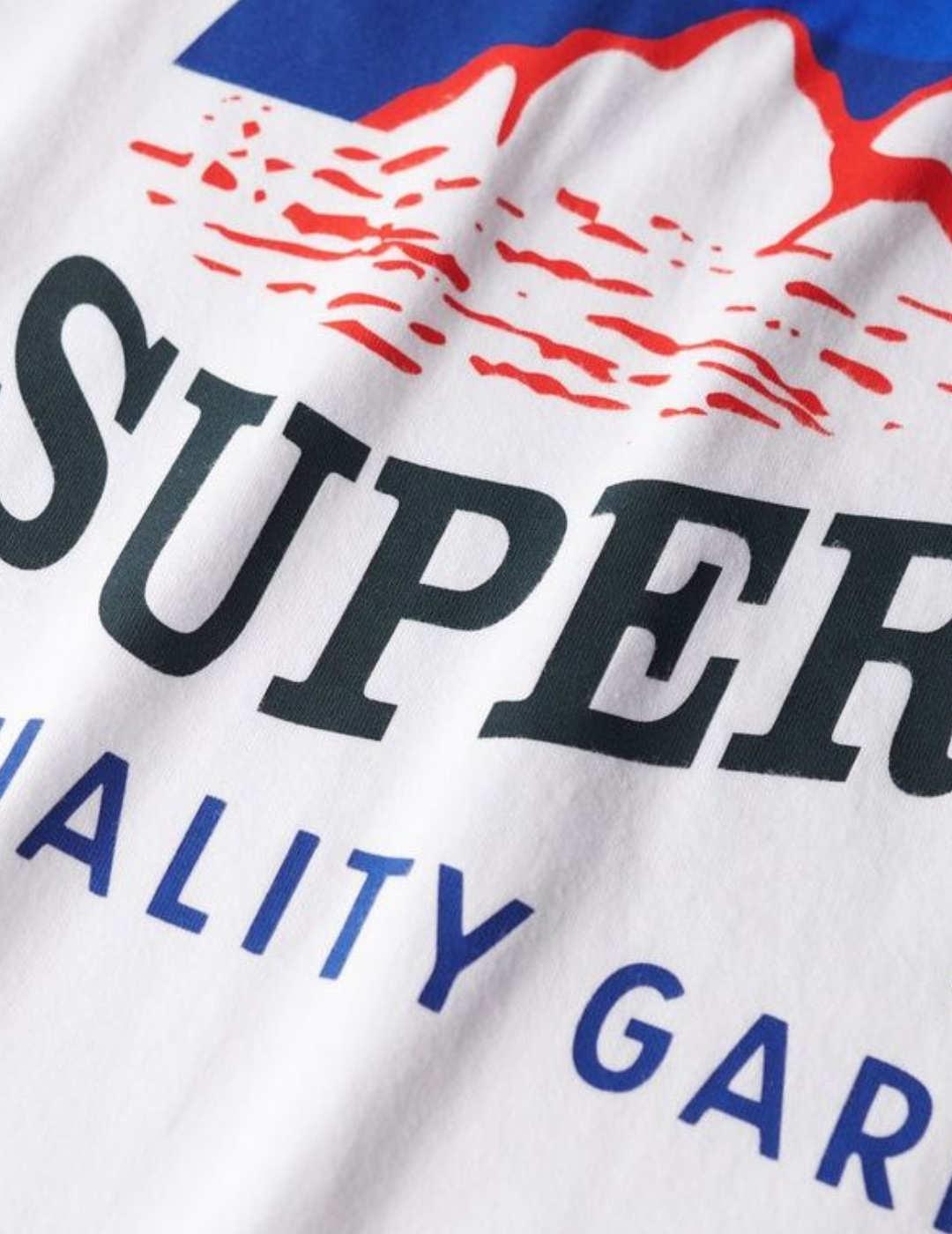Camsieta Superdry Great gris logo manga corta para hombre