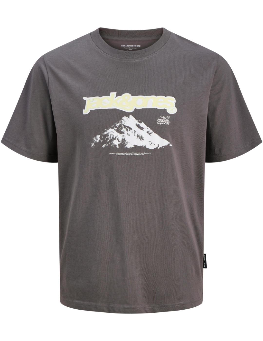 Camiseta Jack&Jones Flare gris manga corta para hombre