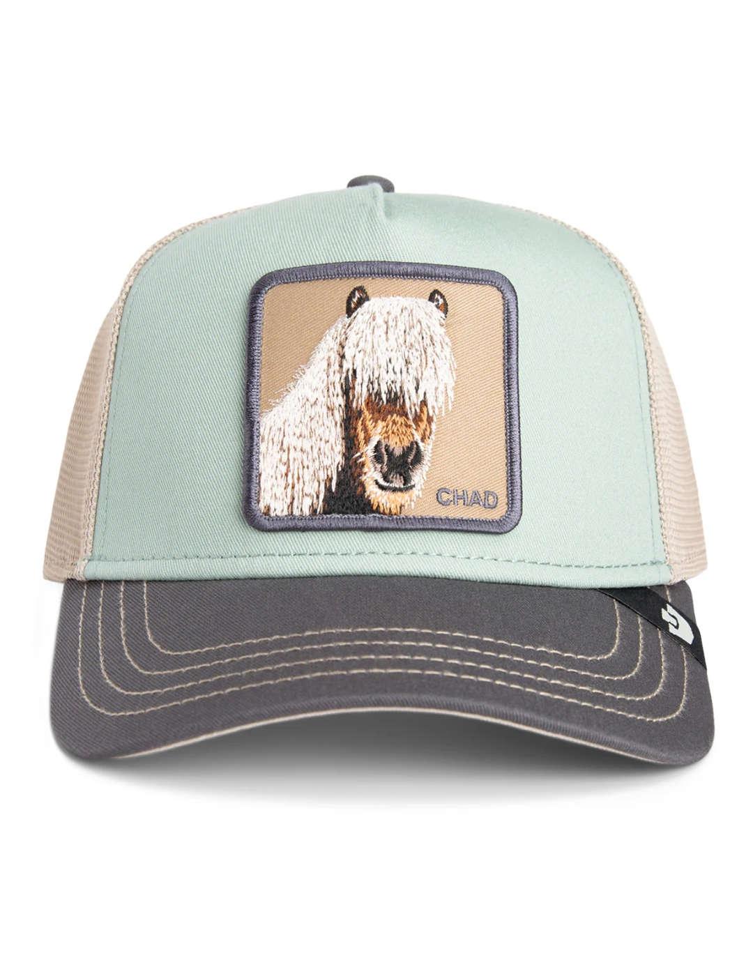 Gorra Goorin Bros ajustable tricolor Horse unisex