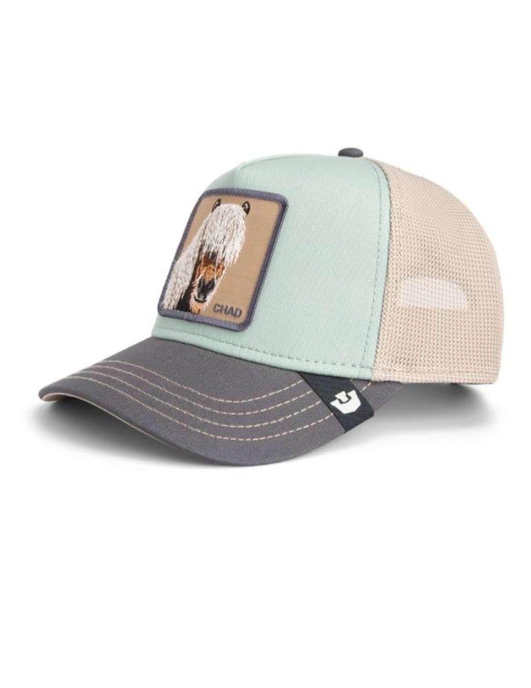 Gorra Goorin Bros ajustable tricolor Horse unisex